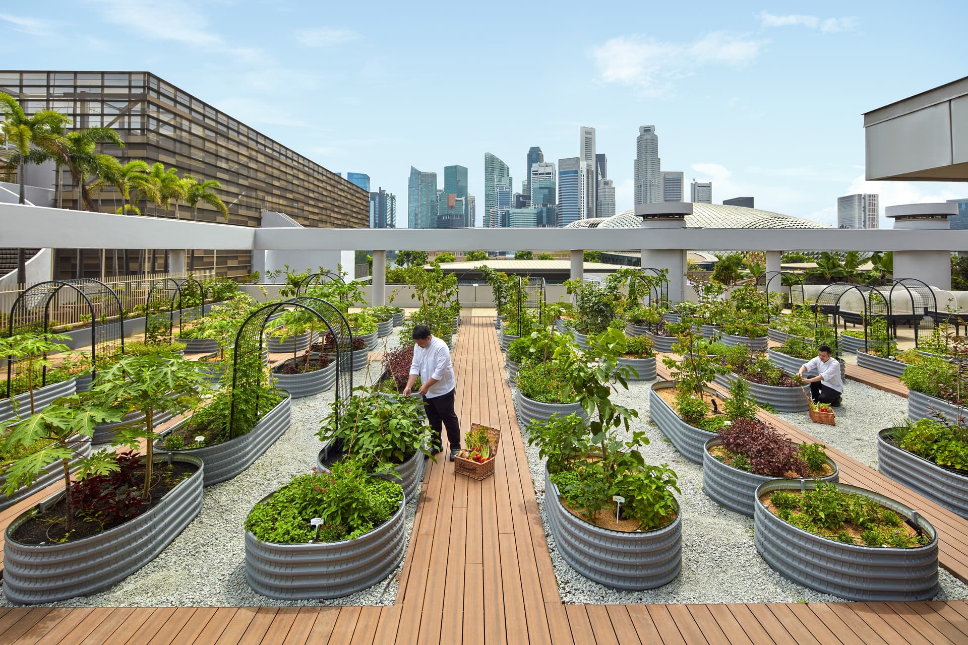 PARKROYAL COLLECTION Marina Bay