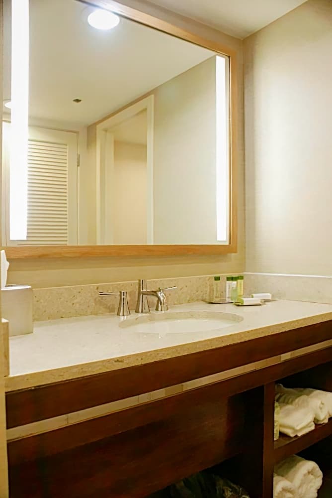 DoubleTree by Hilton Pittsburgh-Green Tree