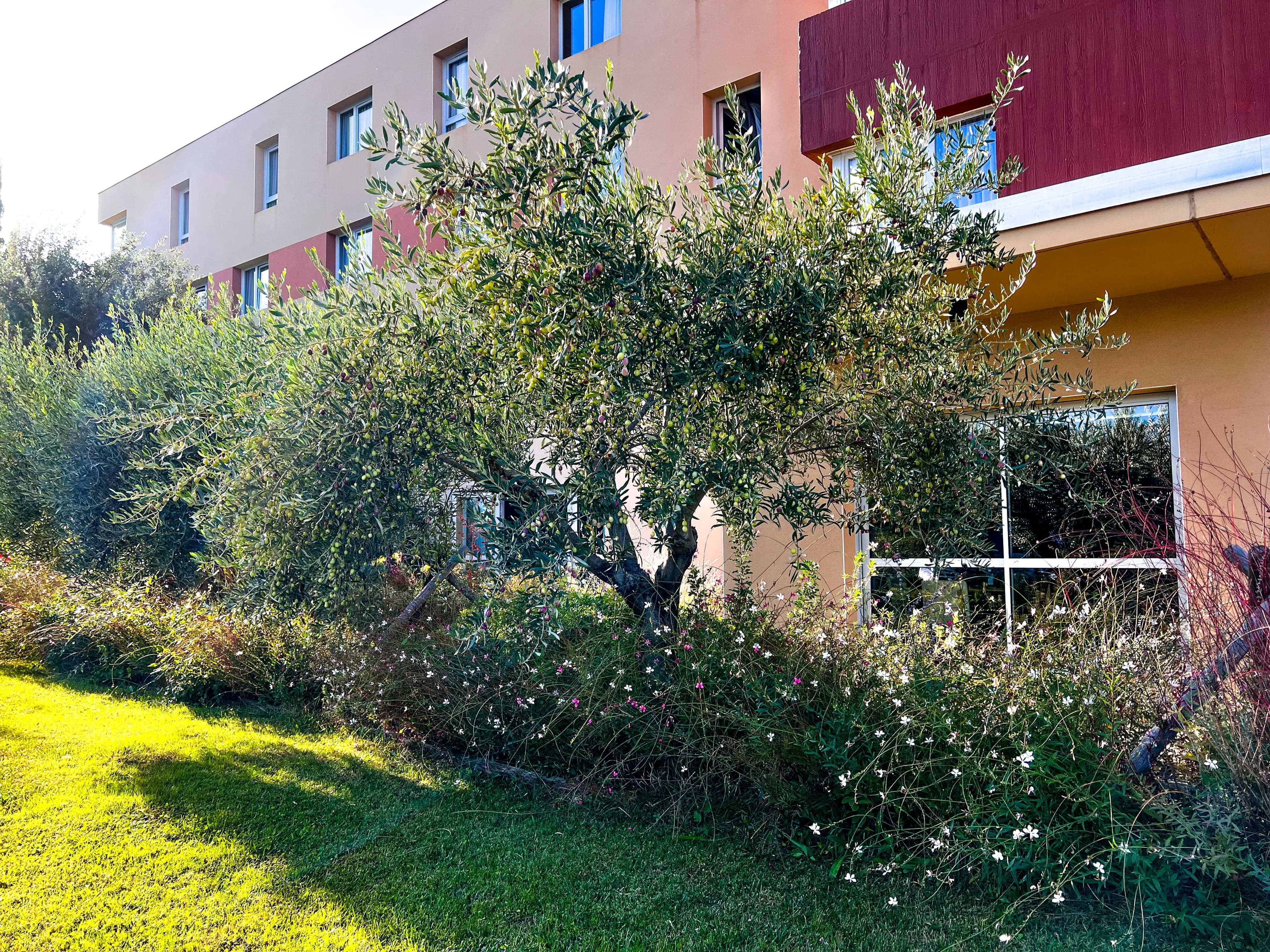 The Originals Hotel Ecoparc